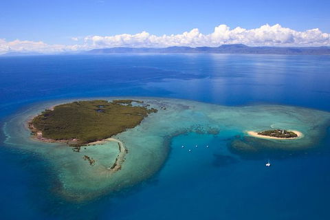 Half Day Low Isles Snorkelling Tour From Port Douglas - Accommodation Sydney 4
