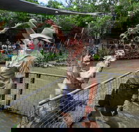 Hartley's Crocodile Adventures Day Trip from Cairns - Accommodation Sydney