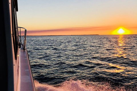 Hervey Bay Whale Swim And Watch - Sydney 4u 7