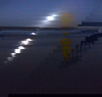 Full Moon Horse Ride at Rainbow Beach - Accommodation Sydney
