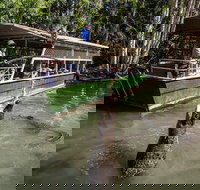 Hartley's Crocodile Adventures Day Trip from Palm Cove - Accommodation Sydney