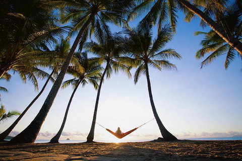 Port Douglas And Hartley's Crocodile Adventure Day Trip From Cairns - Accommodation Sydney 0