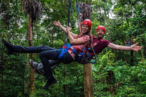 Daintree Atttractions Pass: The Best Of The Daintree In A Day - Sydney 4u 1