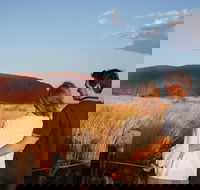 Uluru Ayers Rock Sunset with Outback Barbecue Dinner and Star Tour - Sydney 4u
