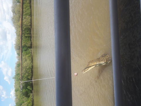 Darwin Jumping Crocodiles Cruise On Adelaide River - Sydney 4u 3