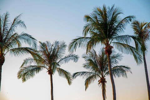 Darwin City Sightseeing Tour With Optional Sunset Cruise - Sydney 4u 7