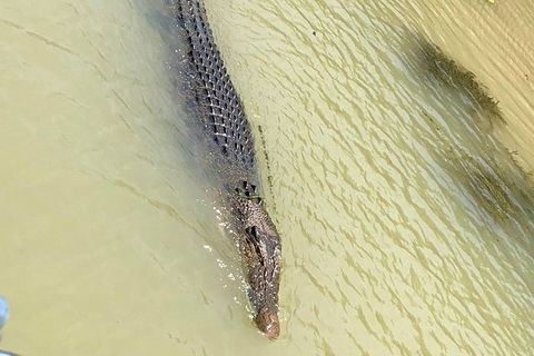 Kakadu & Katherine Gorge Full Day Air Tour, Helicopter & Cruise - Accommodation Sydney 6