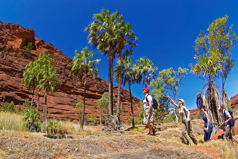 Palm Valley 4WD Tour From Alice Springs - Accommodation Sydney 0