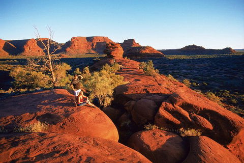 Palm Valley 4WD Tour From Alice Springs - Accommodation Sydney 4