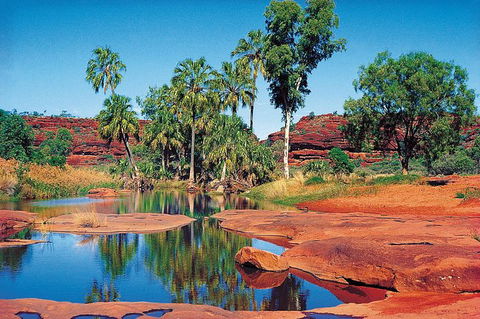 Palm Valley 4WD Tour From Alice Springs - Accommodation Sydney 5