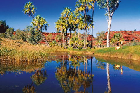 Palm Valley 4WD Tour From Alice Springs - Accommodation Sydney 3