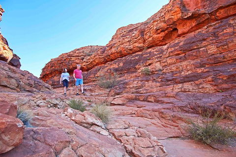 Uluru (Ayers Rock) And Kings Canyon In 3 Days - Sydney 4u 14