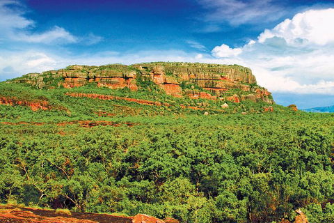 Kakadu, Nourlangie And Yellow Waters Tour From Darwin - Accommodation Sydney 1