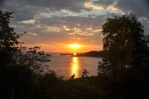 Kakadu, Nourlangie And Yellow Waters Tour From Darwin - Accommodation Sydney 24