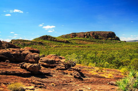 Kakadu, Nourlangie And Yellow Waters Tour From Darwin - Accommodation Sydney 34