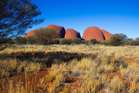 Ayers Rock 4 Tour Combo: Complete Uluru Base Walk At Sunrise, Valley Of The Winds At Sunrise, Kata Tjuta Sunset And Uluru Sunset - Accommodation Sydney 12