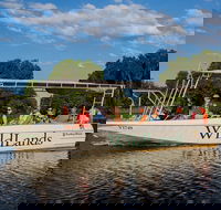 830am Safari Cruise 1.5 Hours - Accommodation Sydney