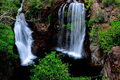 Litchfield Dreams 1 Day National Park Waterfall Swimming & Jumping Croc Cruise - Accommodation Sydney 0