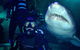 Shark Dive Xtreme At SEA LIFE Sydney Aquarium - thumb 5