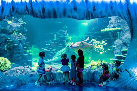 SEA LIFE Sydney Aquarium Entrance Ticket - Sydney 4u 0
