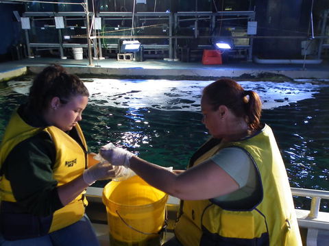 SEA LIFE Sydney Aquarium Entrance Ticket - Sydney 4u 14