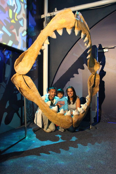 SEA LIFE Sydney Aquarium Entrance Ticket - Sydney 4u 6