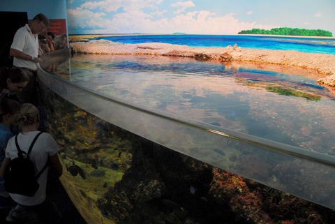 SEA LIFE Sydney Aquarium Entrance Ticket - Sydney 4u 24