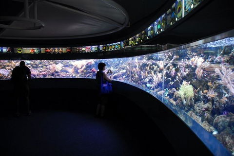 SEA LIFE Sydney Aquarium Entrance Ticket - Sydney 4u 23