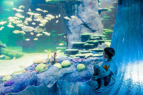 SEA LIFE Sydney Aquarium Entrance Ticket - Sydney 4u 28