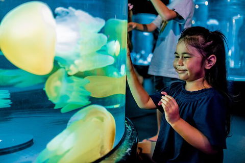 SEA LIFE Sydney Aquarium Entrance Ticket - Sydney 4u 26