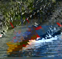 Kayak and SUP Guided Tours - Sydney Resort