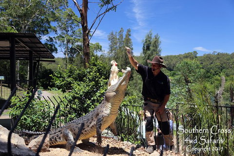 Private Shoalhaven Zoo Experience From Sydney - Sydney Resort 0