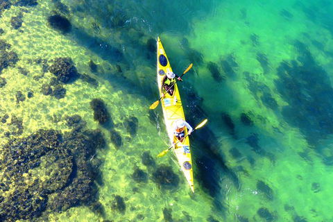 Self-Guided Sydney Middle Harbour Kayak 3 Hour Tour By Double Kayak - Accommodation Sydney 3