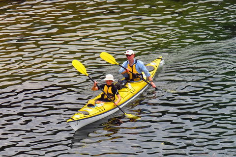 Self-Guided Sydney Middle Harbour Kayak 3 Hour Tour By Double Kayak - Accommodation Sydney 6