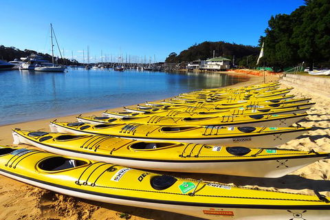 Self-Guided Sydney Middle Harbour Kayak 3 Hour Tour By Double Kayak - Accommodation Sydney 4