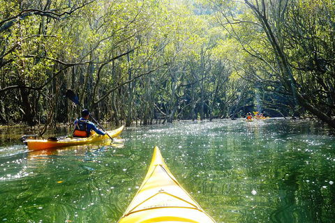Self-Guided Sydney Middle Harbour Kayak 3 Hour Tour By Double Kayak - Accommodation Sydney 5