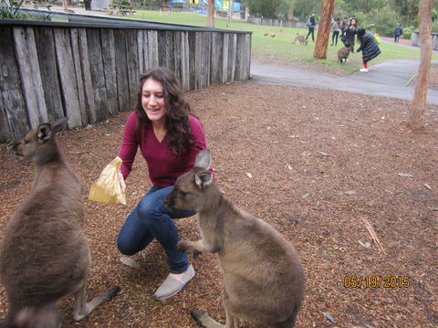 Small Group All Inclusive Hunter Valley Wine Tasting Tour From Sydney - Accommodation Sydney 14