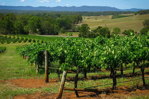 Small Group All Inclusive Hunter Valley Wine Tasting Tour From Sydney - Accommodation Sydney 26