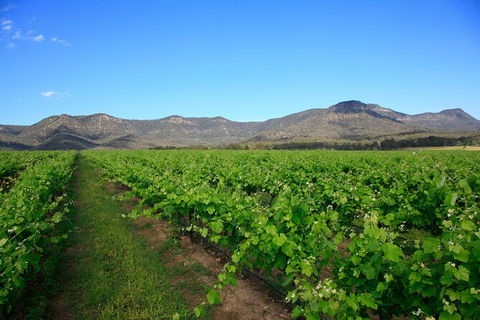 Small Group All Inclusive Hunter Valley Wine Tasting Tour From Sydney - Accommodation Sydney 28