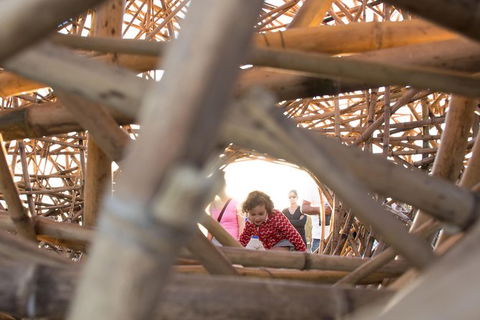 A Full Day In Sydney With A Local: Private & Personalized - Accommodation Sydney 5