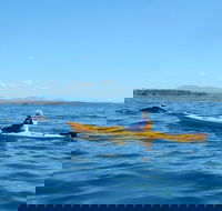 Whale Watching by Sea Kayak in Batemans Bay - Accommodation Sydney