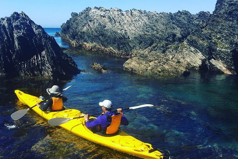 Half Day Sea Kayak Tour From Batemans Bay - Sydney 4u 1