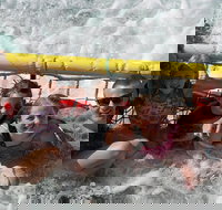 Jervis Bay Boom Netting and Dolphins Tour - Sydney Resort