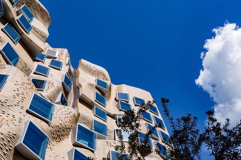 Ultimo & Chinatown Neighborhood Tour - Sydney 4u 1