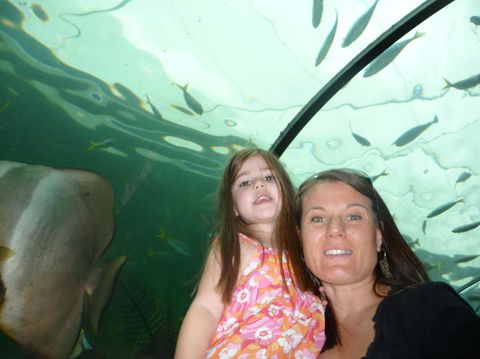 WILD LIFE Sydney Entrance Ticket - Sydney 4u 4
