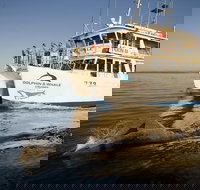 Jervis Bay Dolphin Watch Cruise - Sydney Resort