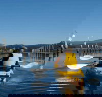 Batemans Bay Oyster Tasting Kayak Tour - Accommodation Sydney