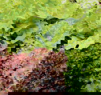 Apple Tree Creek - Accommodation Sydney