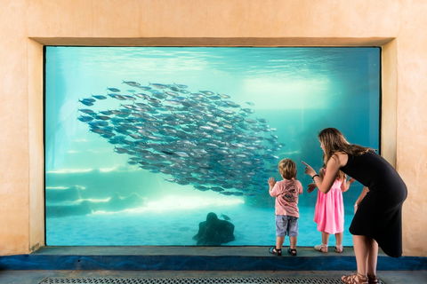 AQWA The Aquarium Of Western Australia - Sydney 4u 0