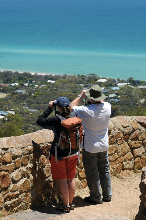 Arthurs Seat State Park - Accommodation Sydney 2